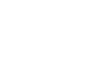 adding yet another model format